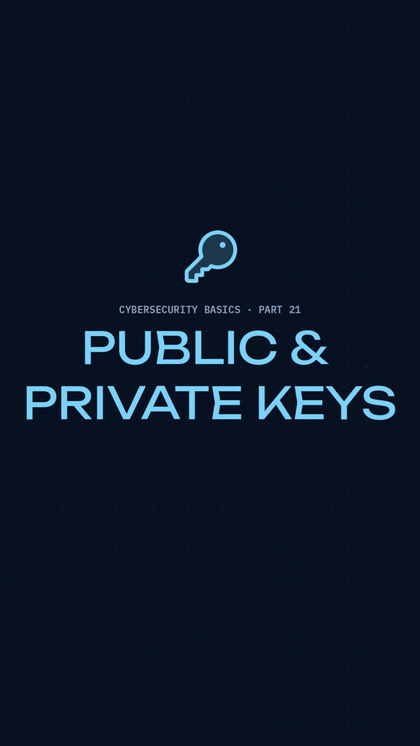 Night theme title card: Public and private keys